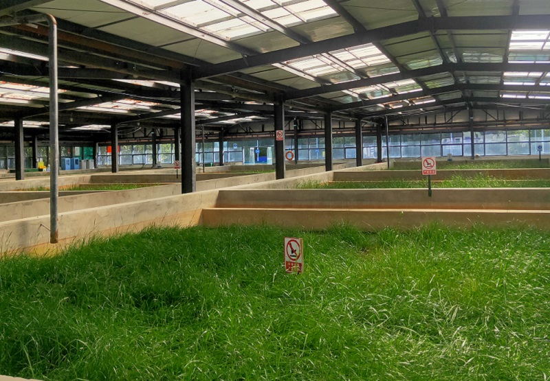 扎囊縣污水處理廠(chǎng)